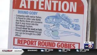 Wisconsin DNR provides update on round goby mitigation efforts
