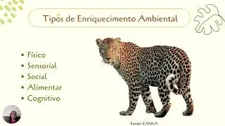 Palestra: Enriquecimento Ambiental para Animais sob Cuidados Humanos