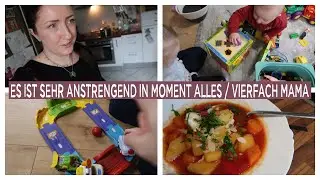 XXL VLOG / CHAOS PUR / FOOD HAUL / FERIEN SIND VORBEI