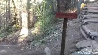 Red Rock Falls (Oakhurst)