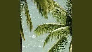 Cool Down, Power Up (Tropical Pop/Chill House)