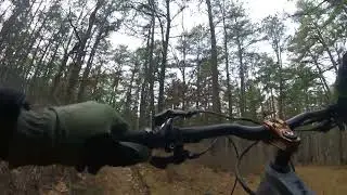 Allaire State Park - Blue Trail