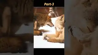 How Ancient DNA Can Bring Extinct Animals Back #wolfstory  #shortvideo #gyaanibaba #shortvideo