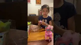 Nuestro nuevo pimpollo MIKRO MERITO (pirru&ntilde;in ) #ksimerito #micromerito