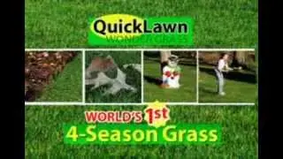 Quick Lawn