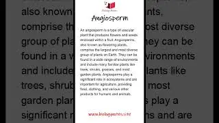 Angiosperm || Short notes || A-Level || NEET || Biology #biology #biologynotes #angiosperms