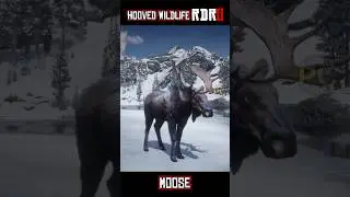 Every Wild Hooved Animal in Red Dead Redemption 2
