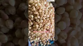 Mini Panipuri Fryer Machine | Worlds Smallest Panipuri Fryer Machine | Fryer Machine #shortsfeed