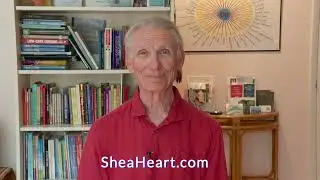 Michael Shea New Book and Webinar Commercial