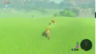 Fox Hunting
