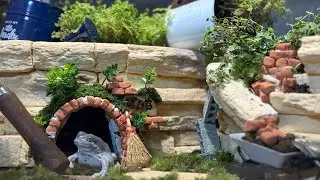 庭に住みついたカエルのおうちレイアウト