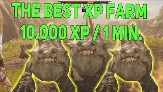 THE BEST FAST LEVEL UP METHOD (10000 XP in 1 Min) in Tainted Grail The Fall of Avalon, Fast Leveling