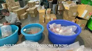 Voyage pour récupérer Les Nisai et Sansai Automne 2021