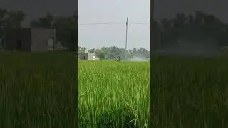 Final Spray |  Paddy Basmati 1847 | No Farmers No Food
