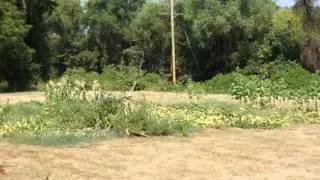Boonville Farm and Garden Coalition