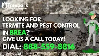 Brea Termite Control and Pest Control Company