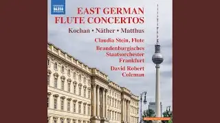 Flute Concertino: II. Andantino