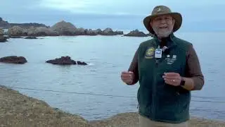 Point Lobos Connected  Protected