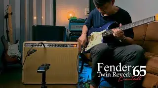 Fender Twin Reverb' 65 Limited  By Guitarcoach Shop