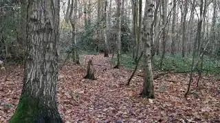 2020.11.12 #1 18km walk into Coventry and back, UK