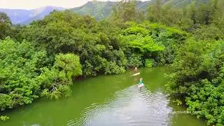 Kahana River - Kayak Through the Jungle on Oahu!