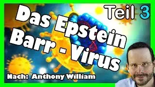 Diese 10 nat&uuml;rlichen Mittel wirken Wunder gegen den Eppstein-Barr Virus