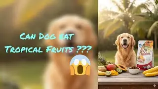 Farmina N&D Tropical Selection Review | Best Healthy Dog Food with Tropical Fruits & High Protein |