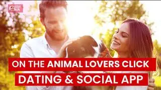 Chat, Meet, And Date On The Animal Lovers Click App!