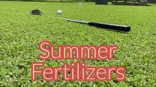 Quick Tip: Summer Fertilizer Options