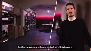Le Carline Società Semplice Agricola