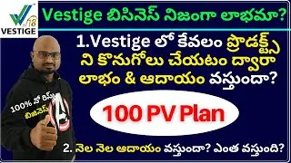 Vestige ద్వారా లాభం & ఆదాయం?, 100 PV Plan in Vestige in Telugu, Vestige Business Plan Benefits