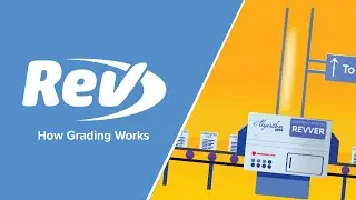 How Grading Works | Revver HQ