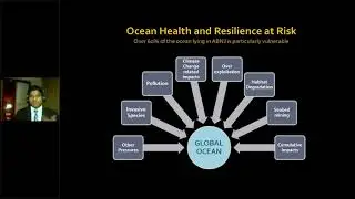Building Ambition for a new High Seas Treaty: 5. Key tools to strengthen ocean resilience via BBNJ