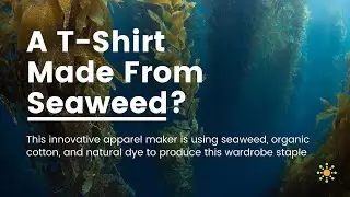 PANGAIA Clothing Delivers a Comfortable T-Shirt from an Unconventional Material [Seaweed]