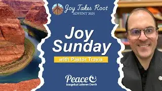 Joy Takes Root | A Moment of Peace for Advent 3
