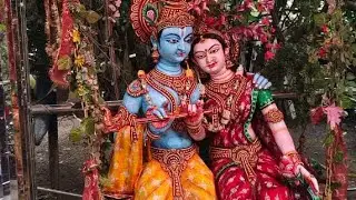 Dog lover dipali Mukherjee  is live