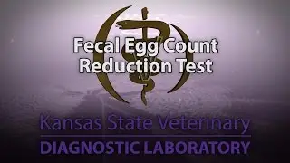 Fecal Egg Count Reduction Test