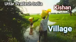 Uttar Pradesh Farmers Life | Indian Village Real Life Vlog | Kheti Bari & Gramin Jeevan