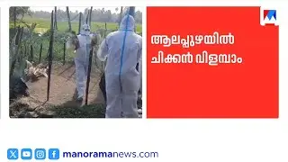 ആലപ്പുഴയിൽ പക്ഷിപ്പനി നിയന്ത്രണങ്ങൾ നീക്കി; ചിക്കൻ, മുട്ട വിൽപനയ്ക്ക് അനുമതി | Alappuzha