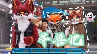 【Fursuit】娃失踪了？！寻兽记——毛毛们的铁道探险！#furries #fursuit #fursuiters #furry #cosplay #metro