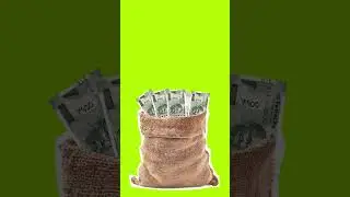 Cutout Indian Money Collect || Green Screen Footage