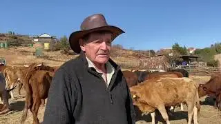 Hans Strydom 1