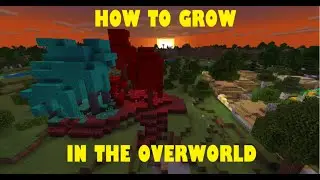 How to grow Nether Trees in the Overworld BEDROCK