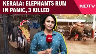 Kerala Elephant Attack | 3 Killed As 2 Elephants Run In Panic, Cause Stampede At Kerala Temple