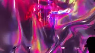 IMG 7334