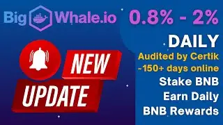 BigWhale.io UPDATE | TVL 4276+ BNB | Certik Audit & SolidProof KYC | Doxxed Team | 8281+ BNB Paid