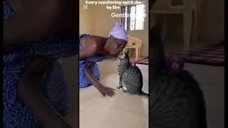 #everyone #funny #gentle #comedy #ai village people 🤔