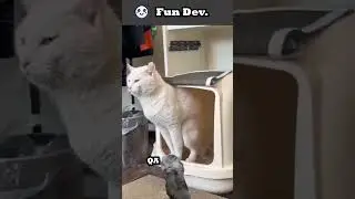 6. Broken Physics Engine - Animal Edition