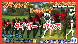 世界最高峰🌎SPORTSBOX AIでスイング大解析🧐憧れのスティンガーショット💪タイガー・ウッズ編🐯