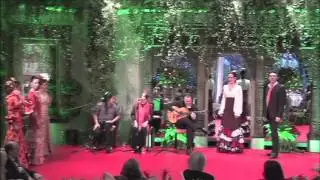Flamenco Party. Entire Show. Private Flamenco Show. Show Privada de Flamenco. Flamenco Management